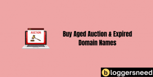 Buy aged auction expired domain name