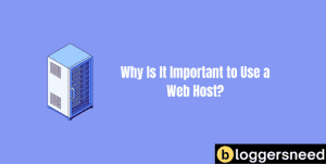 Web hosting importance