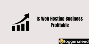 Profitable hosting business