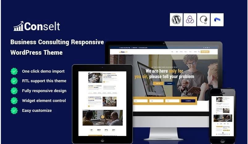 Conselt wordpress themes