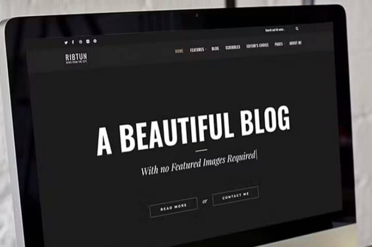 Ribtun - Wordpress Blog Theme For Writers Ribtun - wordpress blog theme for writers