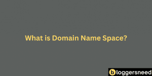 Domain name space