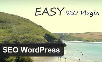 Seo Wordpress Seo wordpress
