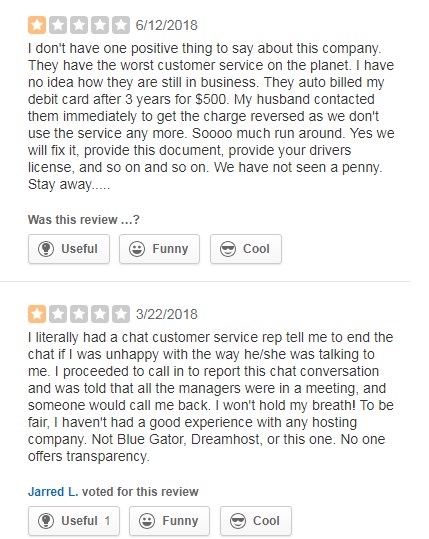Bluehost customer support review