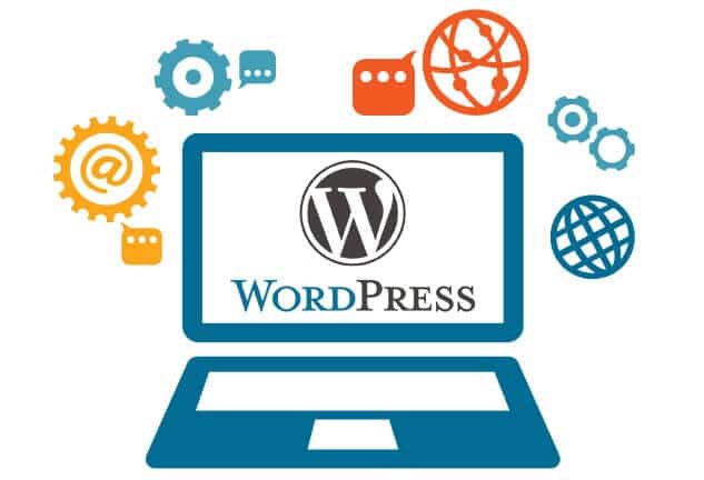 Wp Website Wp website
