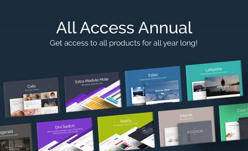 Divi space annual offer