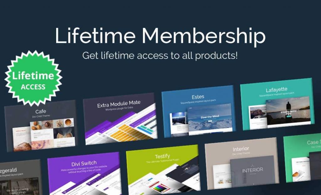 Divi space lifetime coupon