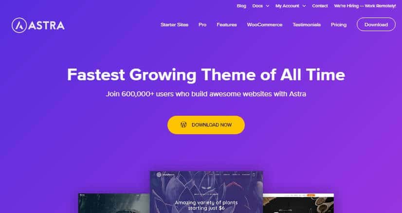 Wp astra wordpress theme dashboard interface