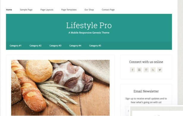 Lifestyle Pro Lifestyle pro