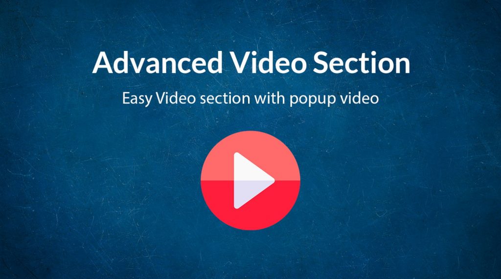 Owl Video Section Owl video section