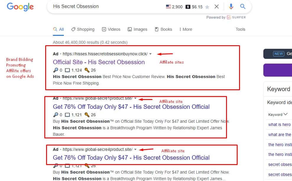 Example of brand bidding on google via google ads