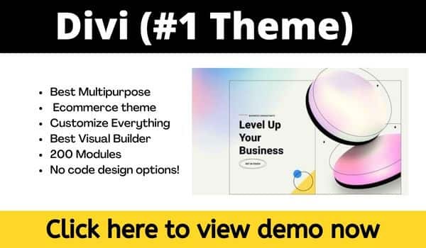 Divi Wordpress Ecommerce Theme Divi wordpress ecommerce theme
