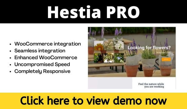 Hestia Pro Ecommerce Theme Wordpress Hestia pro ecommerce theme wordpress