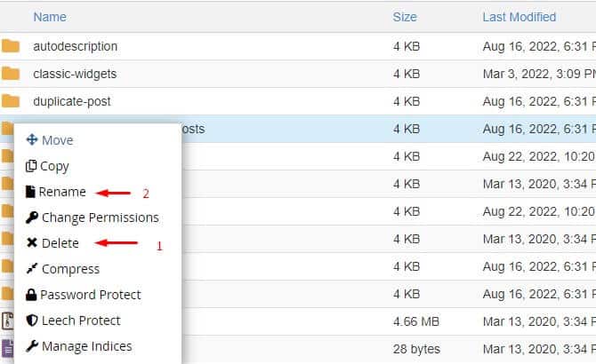 Rename and delete plugin from cpanel