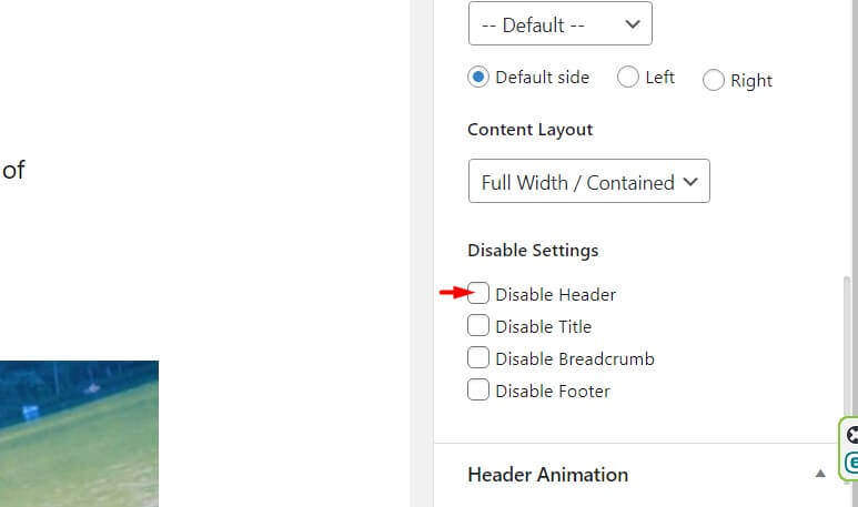 Disable Header Disable header