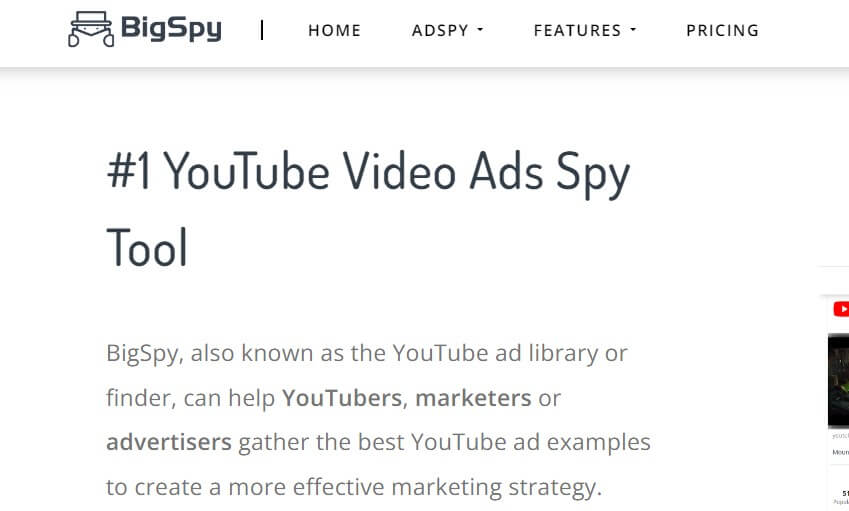 Bigspy Bigspy