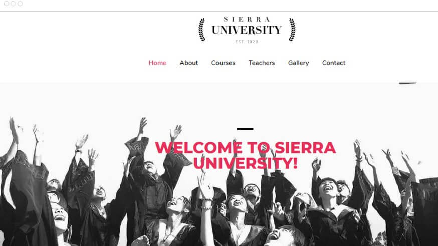 Top university wordpress theme