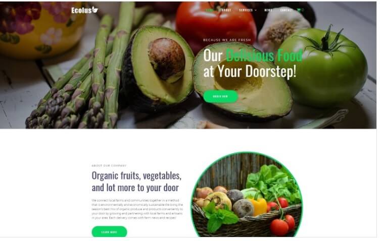 Ecolus Organic Food Delivery Ecommerce Wp Theme Ecolus organic food delivery ecommerce wp theme