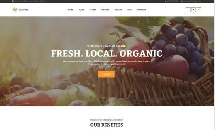 Greenora - Organic Farming Agriculture Wordpress Theme Greenora - organic farming agriculture wordpress theme