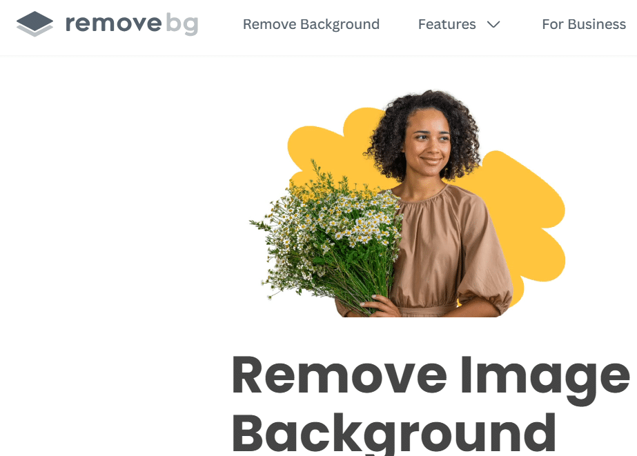 Remove Bg Remove bg