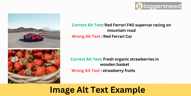Example On How To Write Image Alt Texts Example on how to write image alt texts